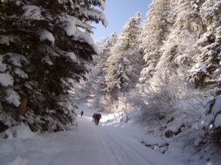  Esquí de camicrema para buenos esquiadores